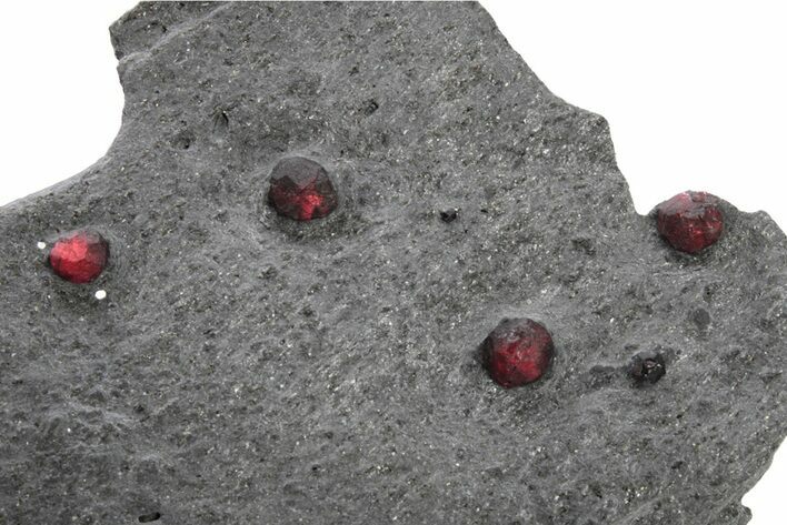 Plate of Six Red Embers Garnets in Graphite - Massachusetts #225924